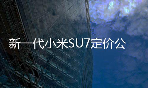 标新一准版代小定价米S9万元公布