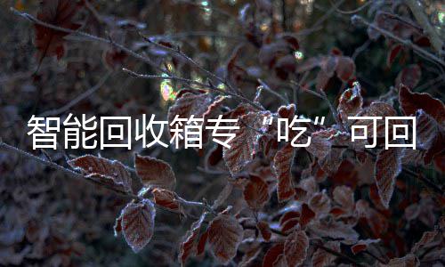 箱专智能回收回收垃圾可吃