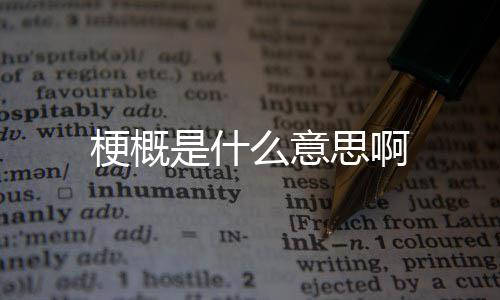 么意是什思啊梗概