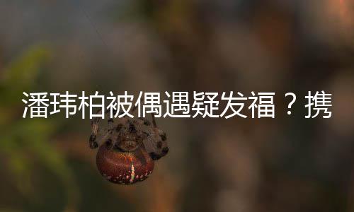 柏被携妻人世潘玮界十疑发意过二福分惬偶遇
