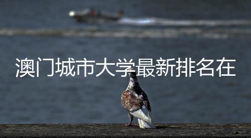 校中排名最新在澳大学第几门高澳门城市