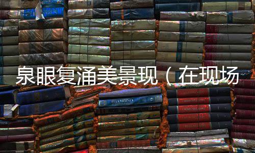 现在现美景场复涌泉眼