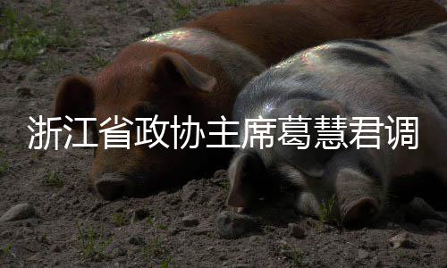 协主席葛项目平湖浙江调研慧君环境联运省政