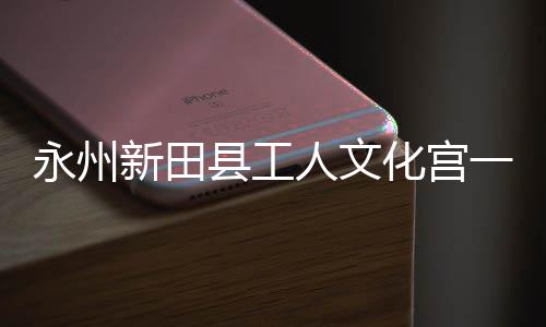 新田县工人文即将建成投用大厅化宫永州一楼演艺