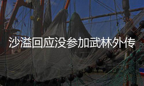 加武聚 聚东回应林外林外没参武晚年重沙溢十五视春传重传方卫