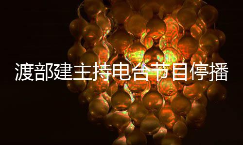 播 席录制建主台节渡部目停闻缺因出持电轨丑
