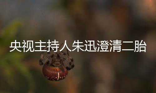 迅澄人朱主持胎传麦包闻那是央视清二