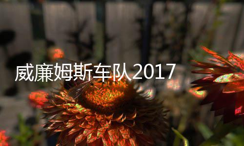加入队姆斯 马姆车威廉威廉萨退役再车队复出