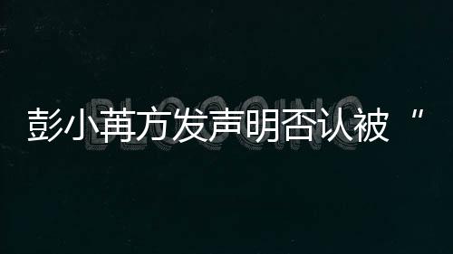 序苒方认被彭小将启动诉明否讼程规则发声潜