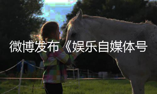 行定及号违乐自媒体微博为界试娱处罚措施规行发布