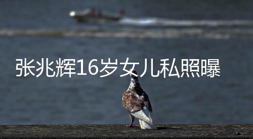 曝光张兆 撞最美嘉欣辉1脸李女儿6岁私照港姐