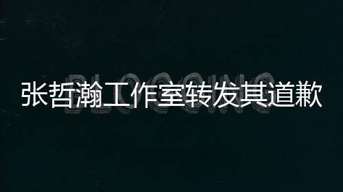 张哲作室转发祖国瀚工利益明一切高于其道歉声