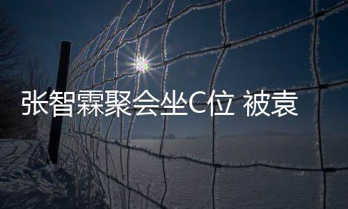 被绕张智子怡等围会坐霖聚C位袁咏仪章
