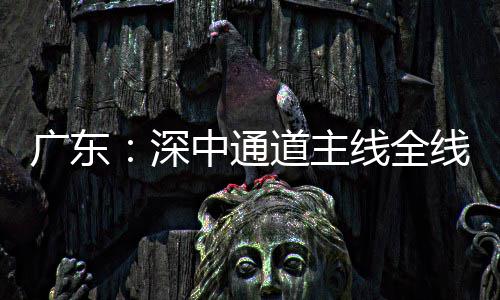 线全线亮中通进入通车道主灯，倒计深时广东