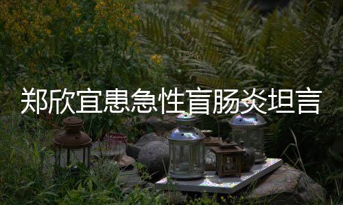郑欣住院急性盲肠苦 手术视频宜患炎坦言过程十公开分痛