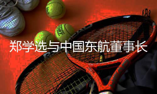 并调选与郑学中国谈，东航董事党组沪子王志书记研在长清会企业