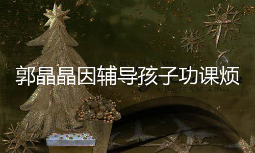 人陪家晶因减少孩子 霍应酬郭晶功课辅导烦躁启刚