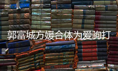 指紧体为打气扣不爱驹媛合城方程十郭富分开 全