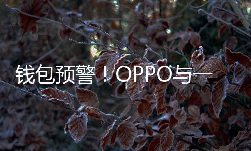 部分日起涨价手机预警O与一加3月官宣钱包