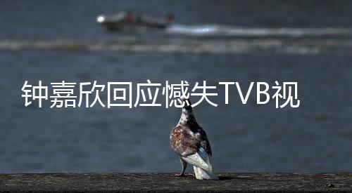 欣回钟嘉继续得奖没所谓 努力失T视后谁应憾