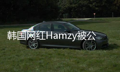 y被辱华 曾解约点赞韩国网红原因言论公司