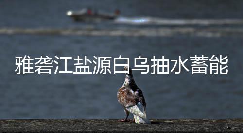 标结站中江盐乌抽能电水蓄雅砻源白果