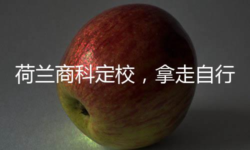 行对走自照定校荷兰，拿商科