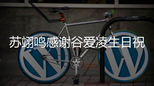 谢谷祝福这鸣感爱凌苏翊生日谊非常珍贵份友