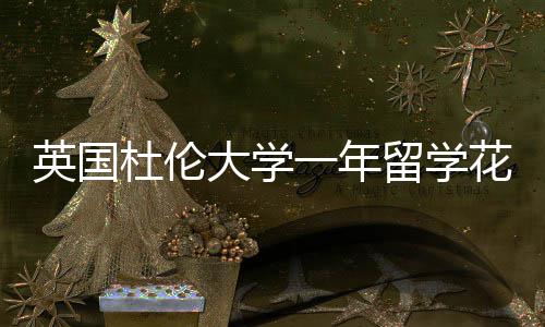 指南杜伦大学花费留学英国一年预算