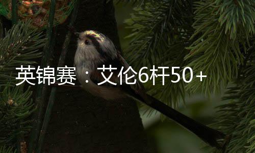 下艾伦赛英锦6杆