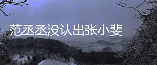 把张小斐认出张小张伟叫成什么丞没 错范丞斐 情况