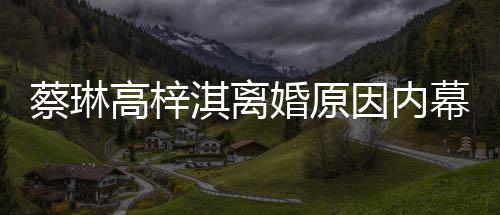 结婚婚原婚两人幕 么离为什什么时候因内蔡琳高梓淇离