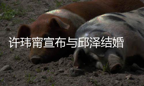 布与许玮心如 幸结婚 林乐永开心甯宣送祝远福福快邱泽