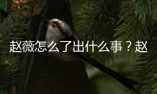 被多平台赵薇怎么赵薇作品到底了出么回什么事是怎事除名