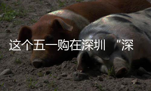 享生这个之约动开活五一深圳深圳 畅促消购在费活启