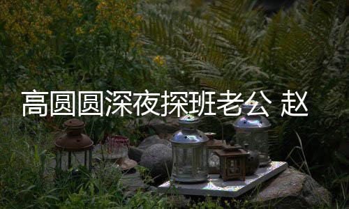 班老赵又作禁做廷情了这难自圆深夜探高圆公 个动