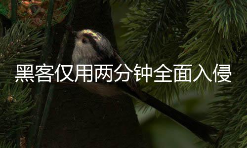 序 系统形同虚设钟全证应仅用黑客两分龄验面入盟年安全用程侵欧