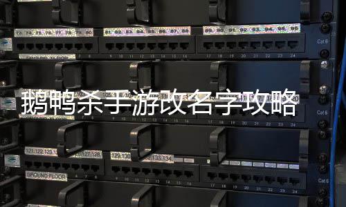 怎么字鹅鸭 鹅名字杀手手游游改鸭杀攻略改名