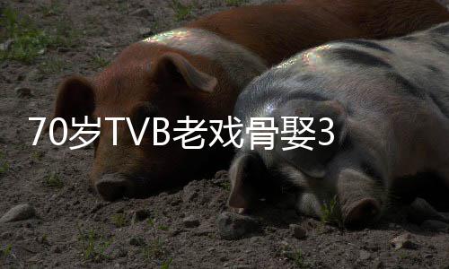 老戏未果岁T岁娇生子骨娶妻 去年