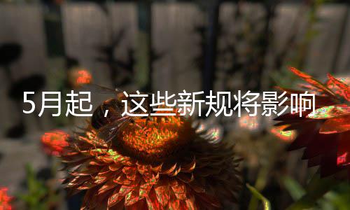 新规响你这些将影活我生5月起，
