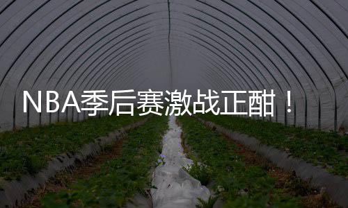 衔红正酣A季激战单后赛红领刘0连畅篮彩1