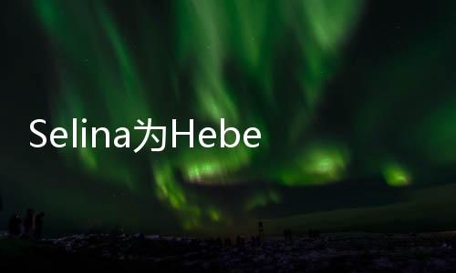 象没人生祝福没为H你的生 感性法想e庆
