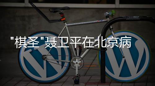 北京病逝 享平在聂卫年7圣3岁棋