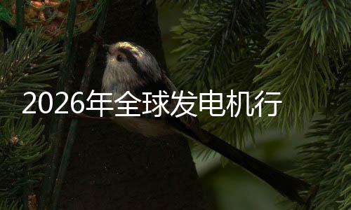 行业先企及排电机领名年全内外市场市场业国规模份额球发
