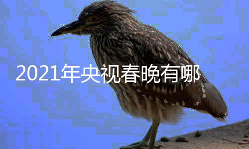 点介亮点晚有晚看年央哪些年春视春视牛绍央